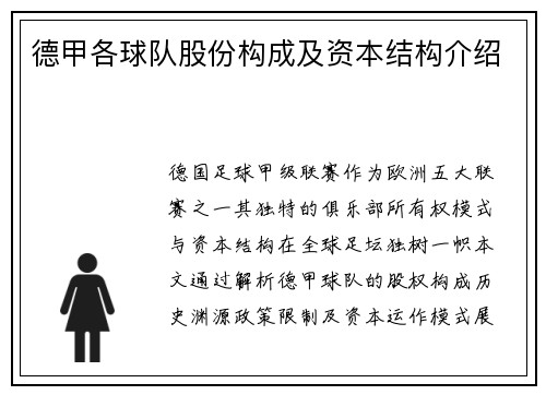 德甲各球队股份构成及资本结构介绍